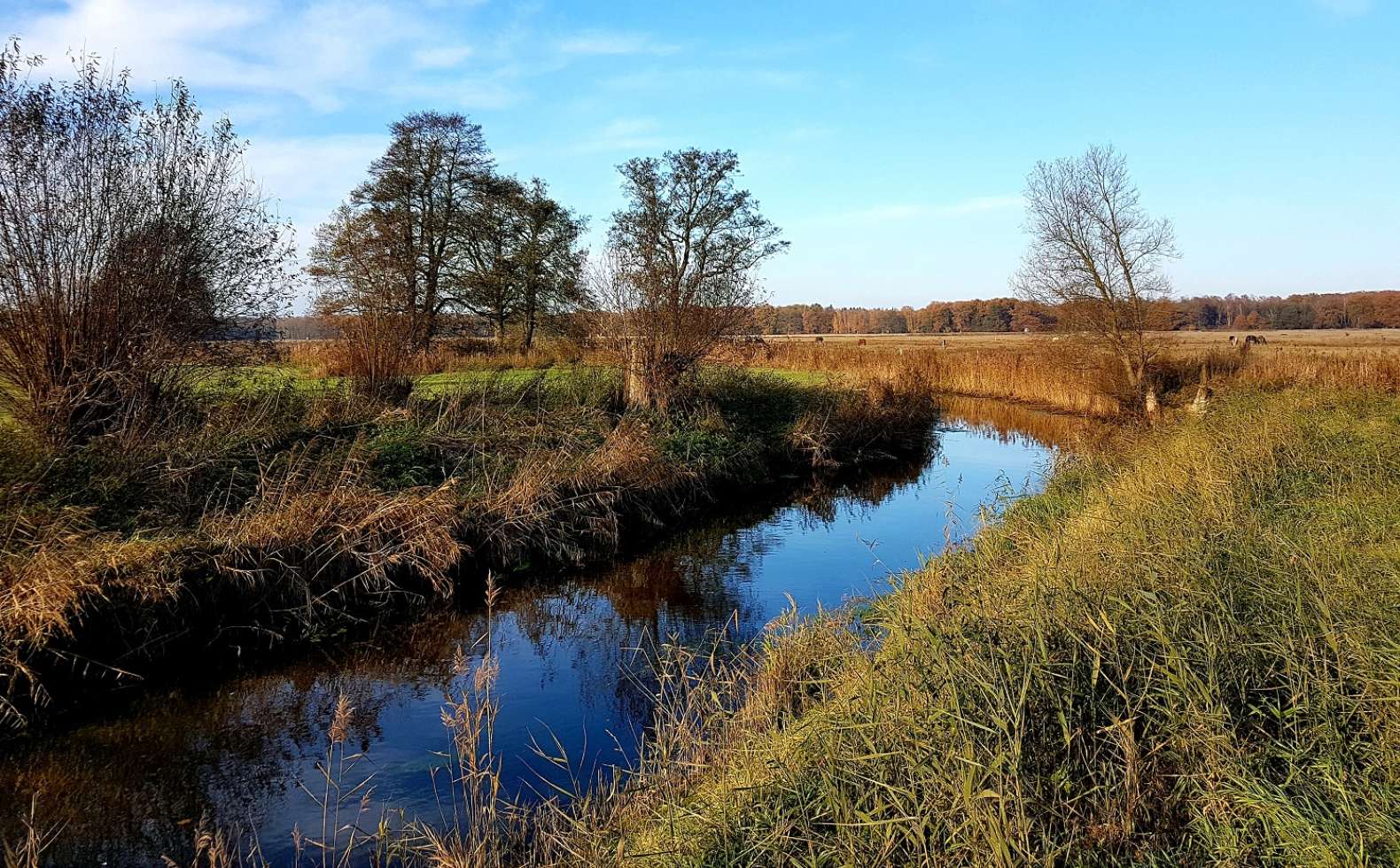 Die Alte Elde durchquert die Lewitz, das weite Wiesenland bei Schwerin.