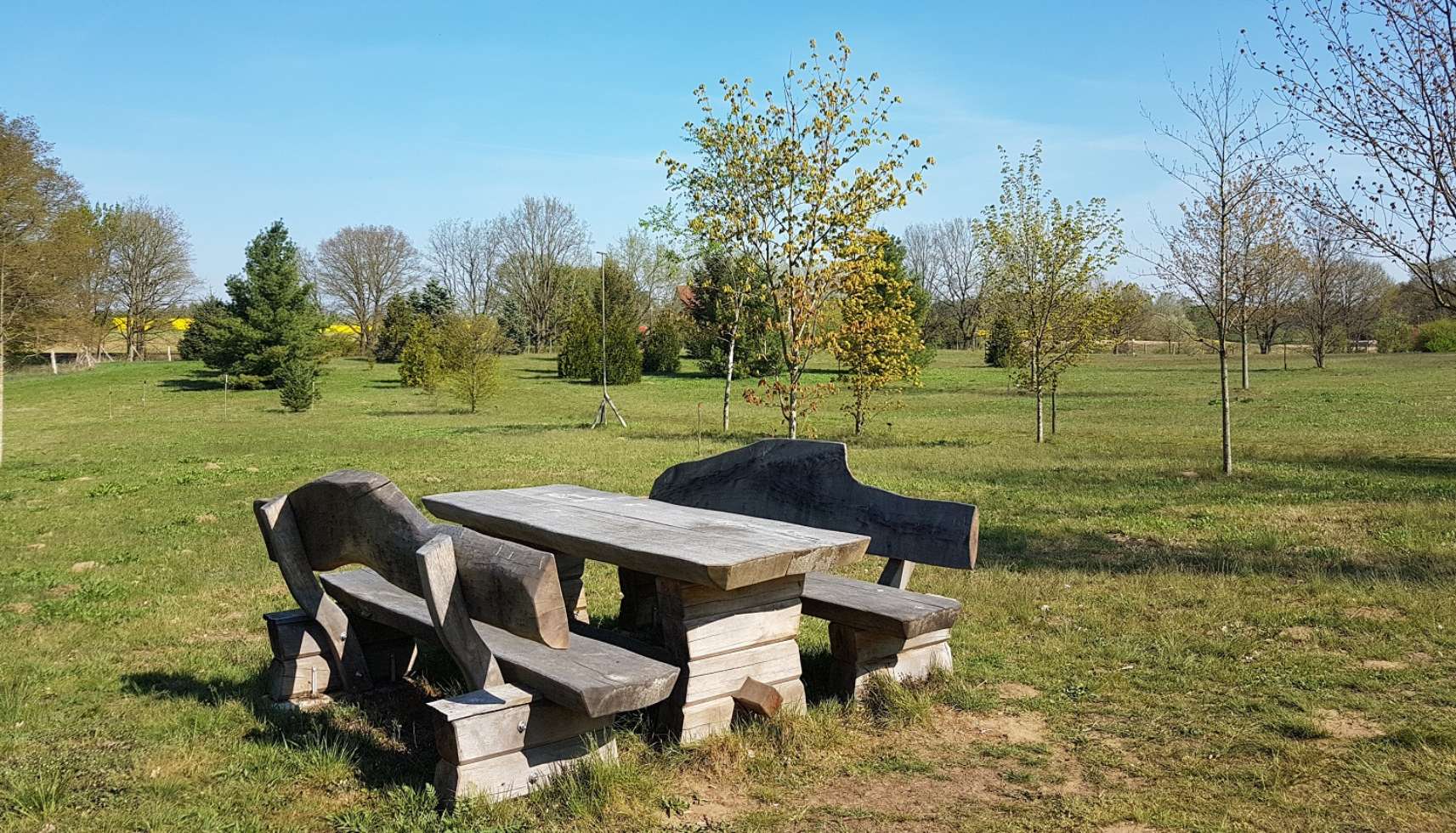 Im Arboretum Crivitz gibt es viele schöne Picknickplätze.