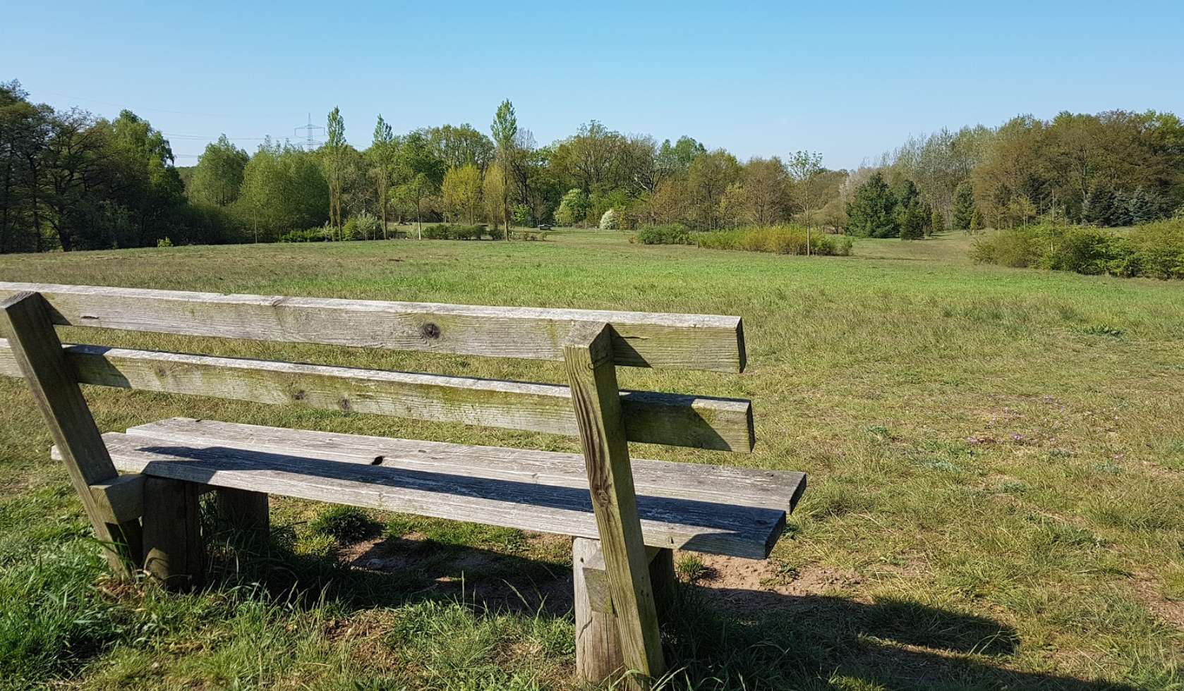 Nach Naturlehrpfaden, vielen Infos zu Bäumen, Sträuchern und Tierwelt laden zahlreiche Picknickbänke zu einer Pause im Grünen ein. 