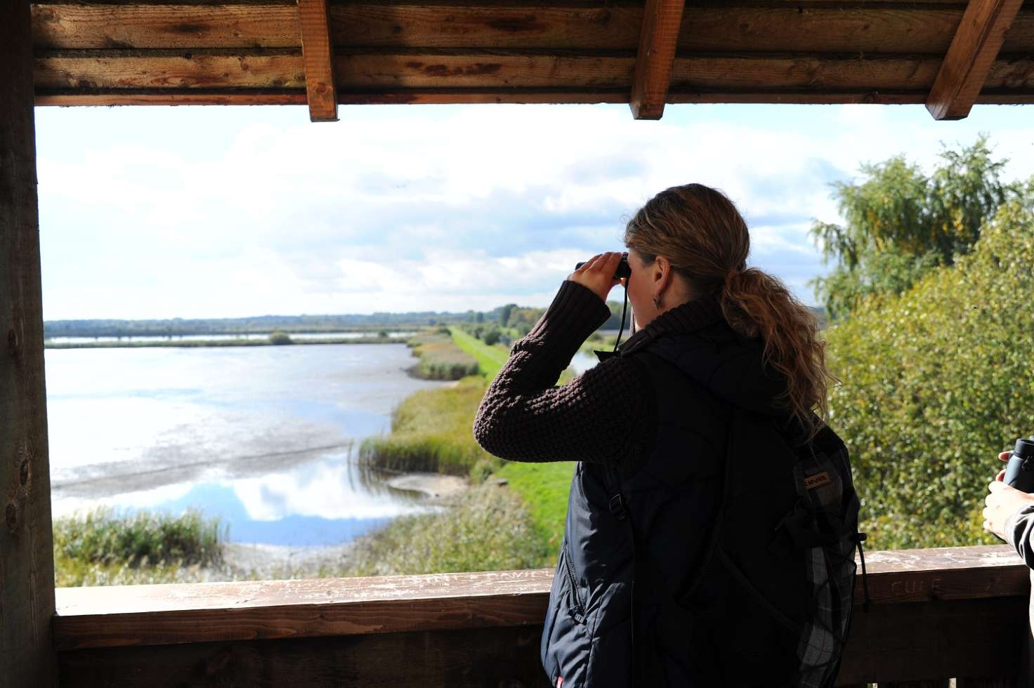 Vogelbeobachtung am Aussichtsturm Dütschower Brücke