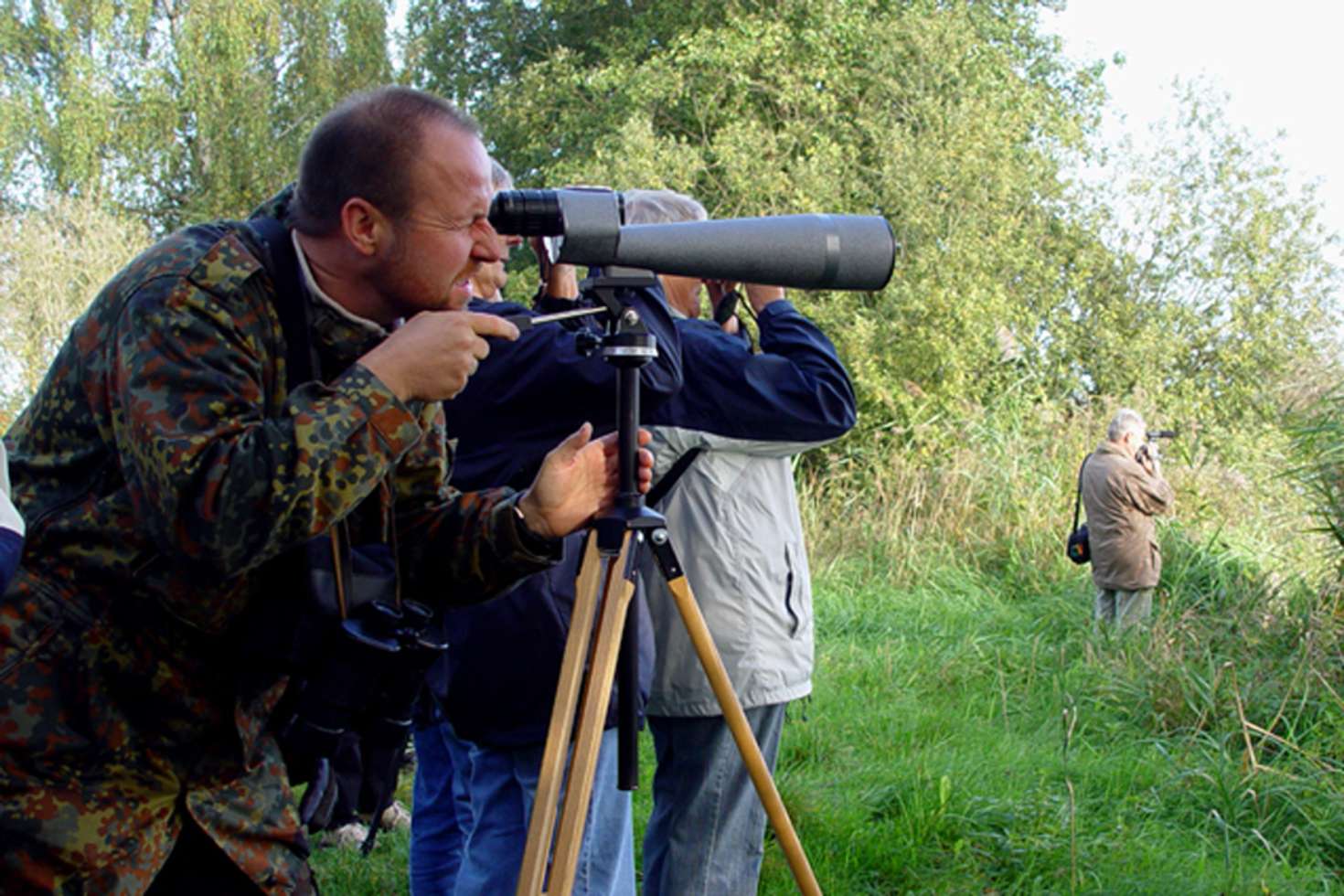 Dem Adler auf der Spur