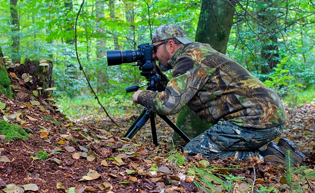 Fotosafari mit dem Lewitz-Ranger