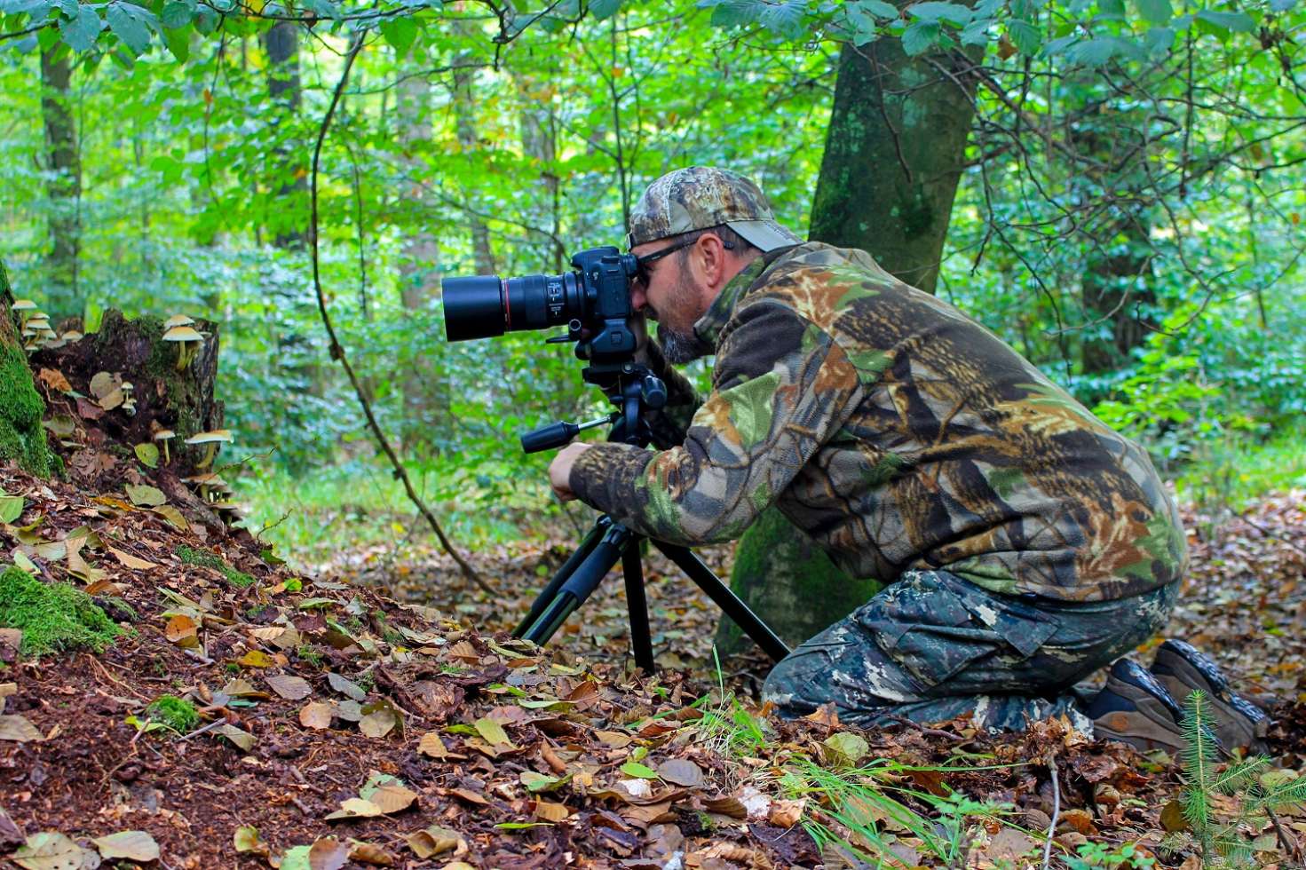 Fotoworkshop mit Lewitzranger Ralf Ottmann