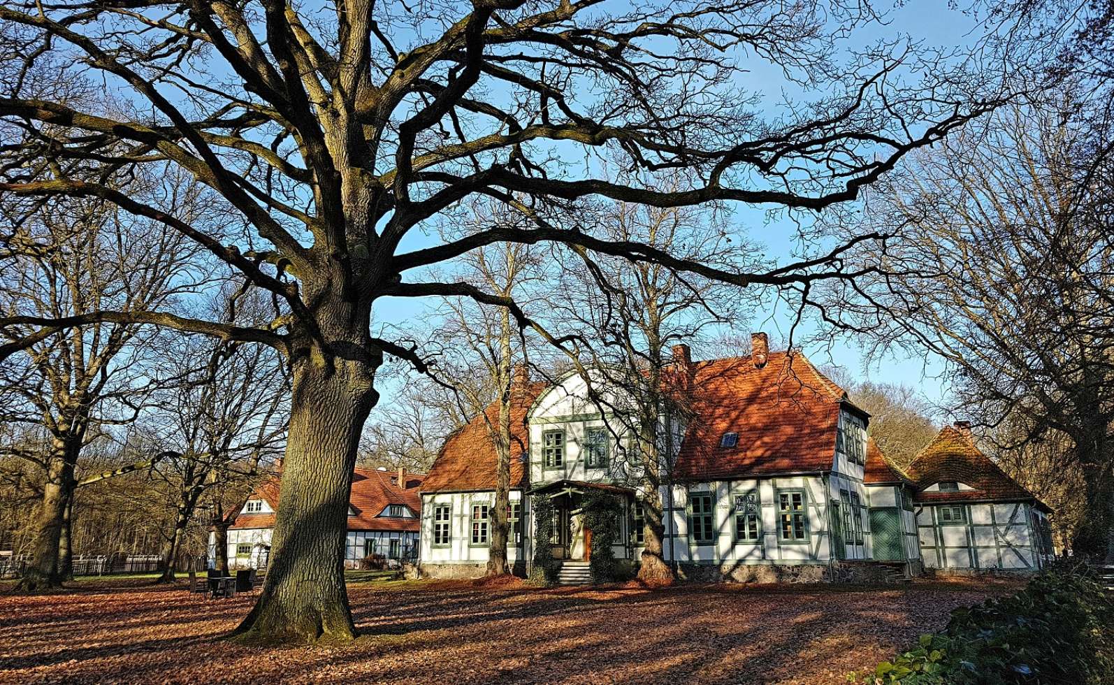 Jagdschloss Friedrichsmoor im Winter