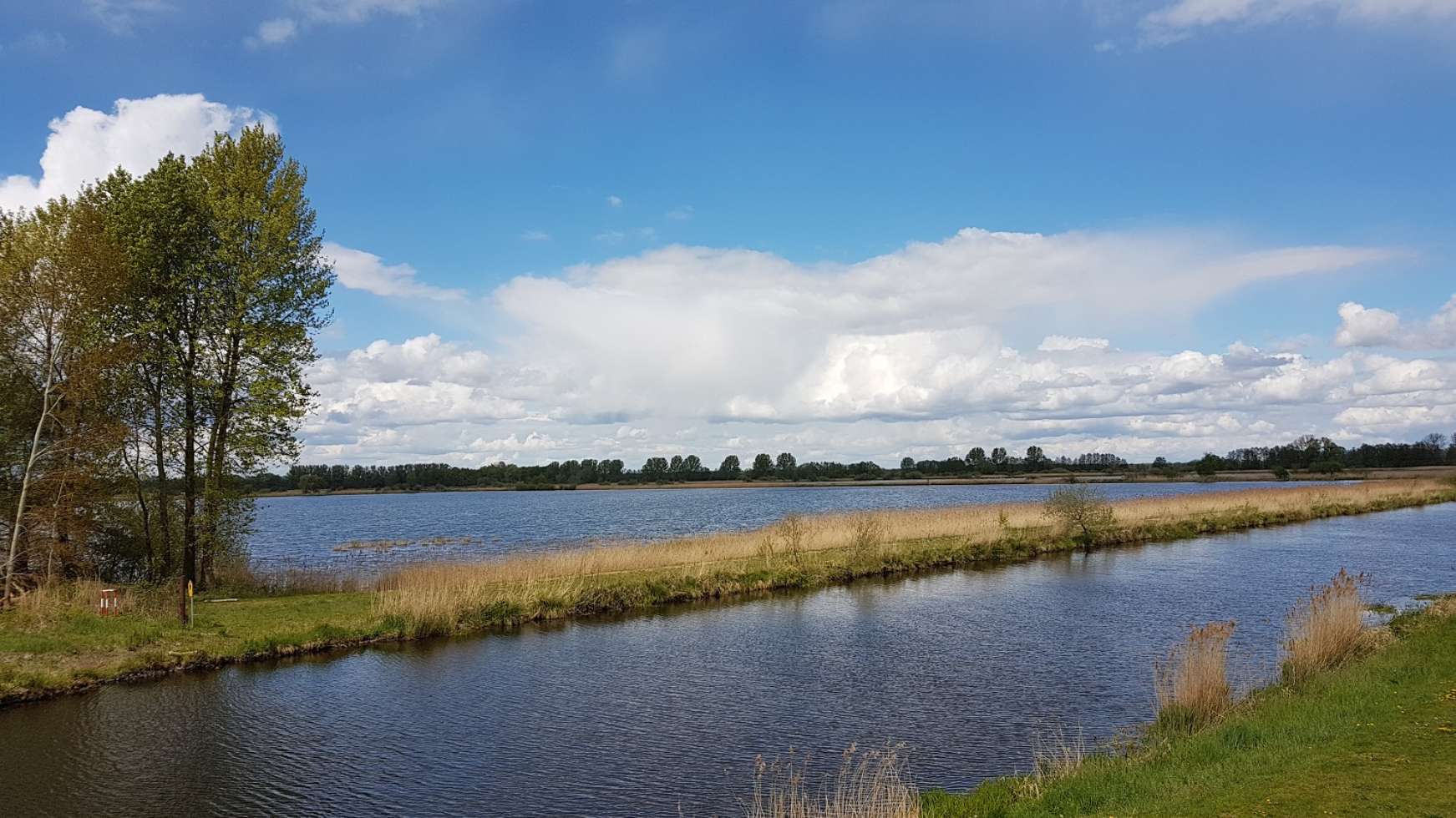 Das Naturschutzgebiet Lewitzer Fischteiche ist Heimat vieler (Zug-)Vögel.