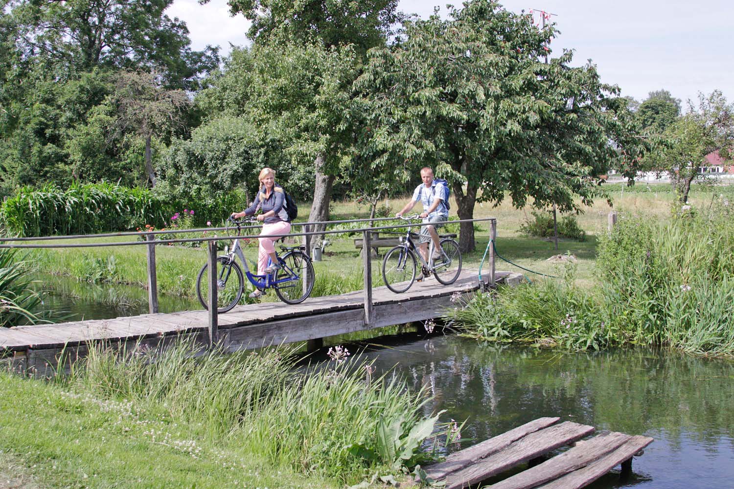 Natur und Aktiv in der Lewitz