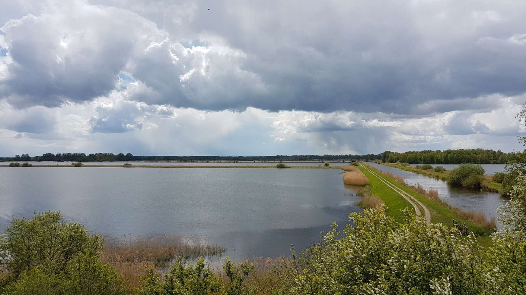 Blick auf das Naturschutzgebiet Lewitzer Fischteiche vom Aussichtsturm Dütschower Brücke.