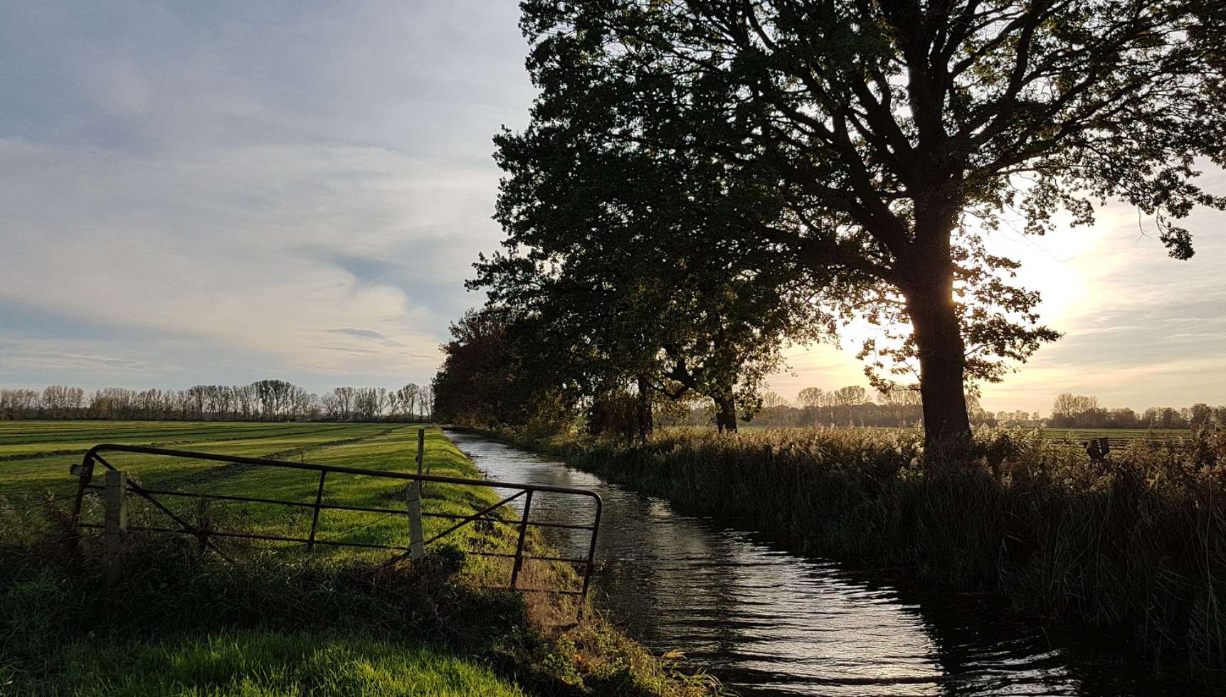 Unzählige Wasserläufe durchziehen die Lewitz bei Schwerin.