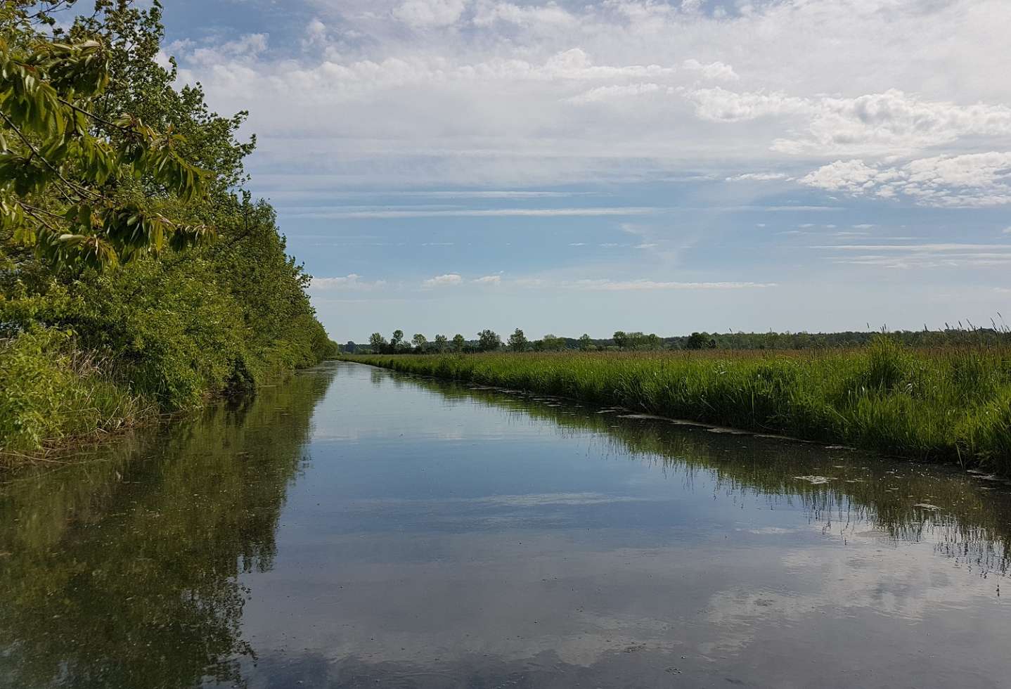 Wiesen und Wasserläufe, soweit das Auge reicht: Die Lewitz südöstlich von Schwerin.