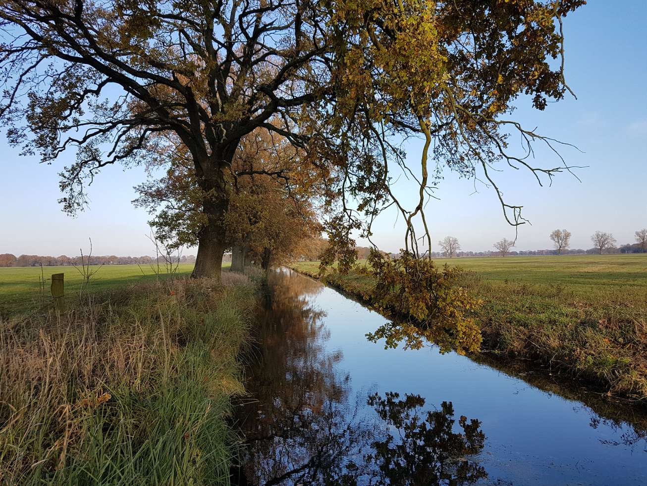 Rund 900 km Kanäle und Wasserläufe gehören zum weiten Wiesenland der Lewitz.