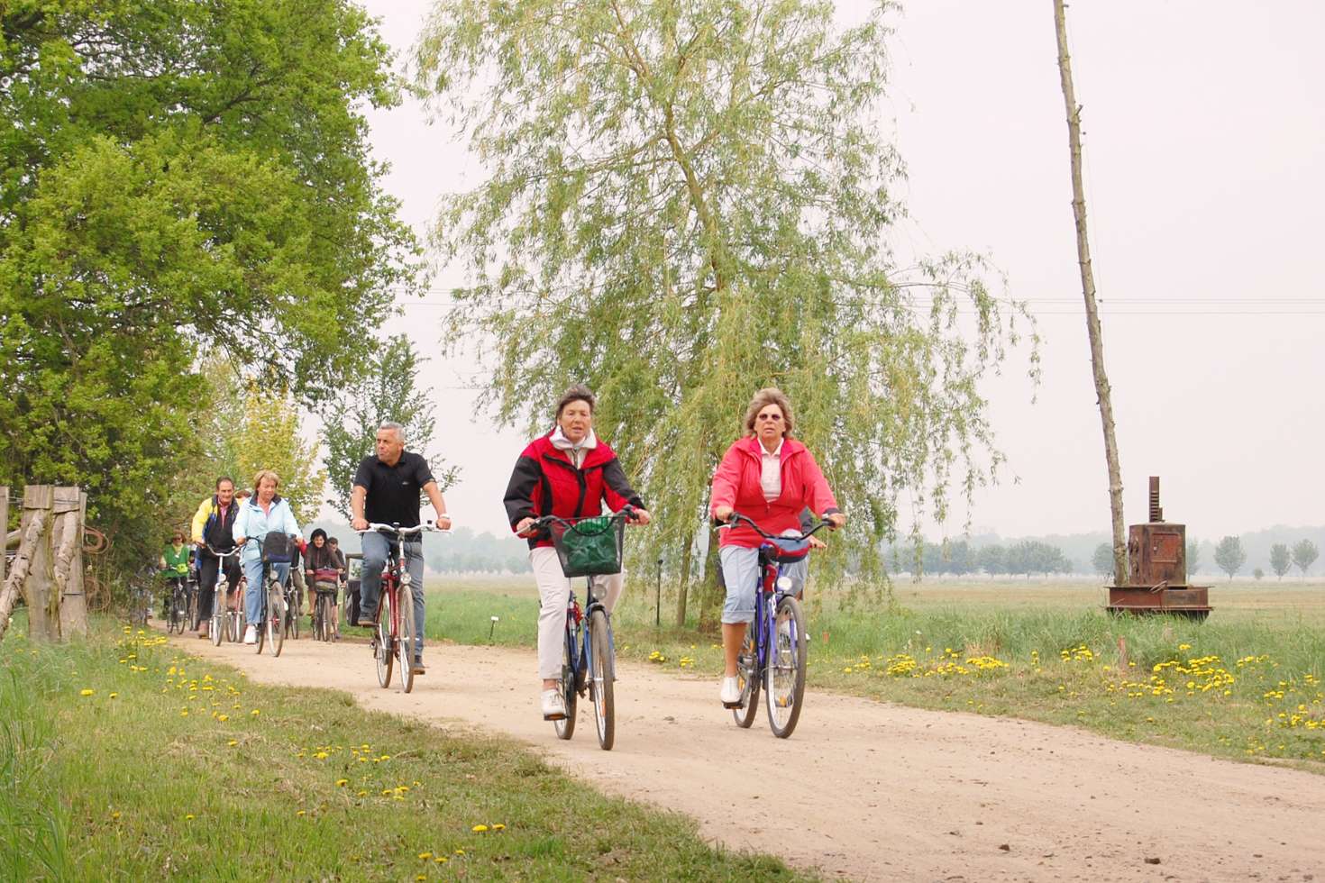 Rund zehn geführte Radtouren durch die Lewitz stehen jedes Jahr auf dem Programm.