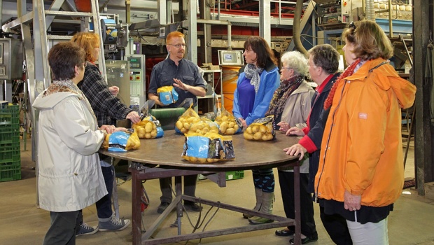Blick hinter die Kulissen der Kartoffelhalle Sülte - Wie kommt die Kartoffel vom Acker in den Handel?