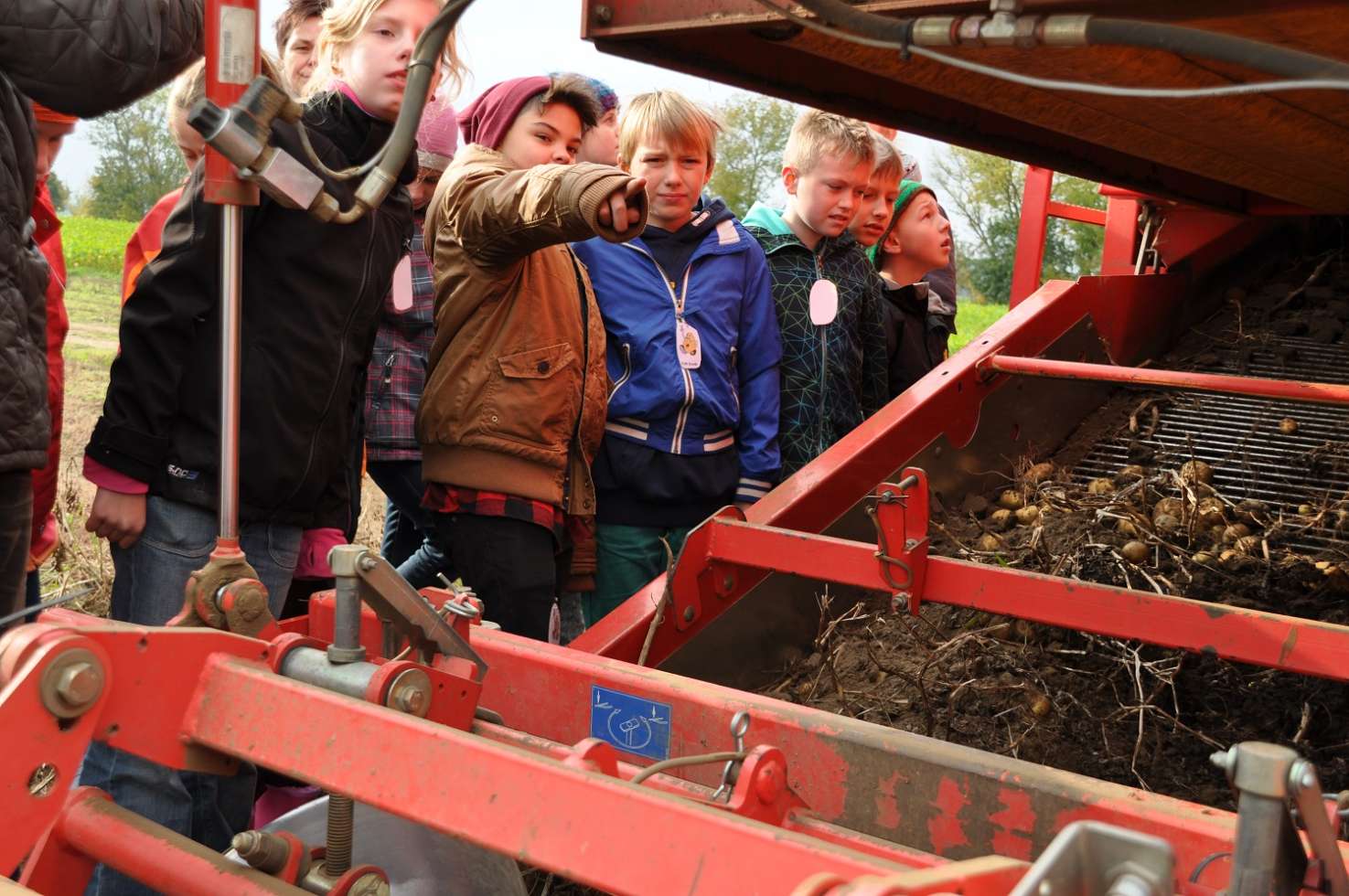 Führung und Treckerfahrt auf den Kartoffelacker für Kinder.