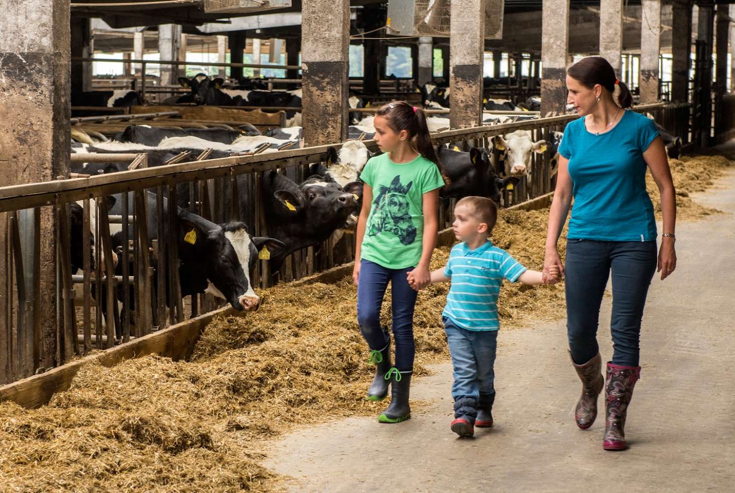 Landwirtschaft zum Anfassen: Führung durch den Kuhstall auf Gut Mirow der Agp Lübesse