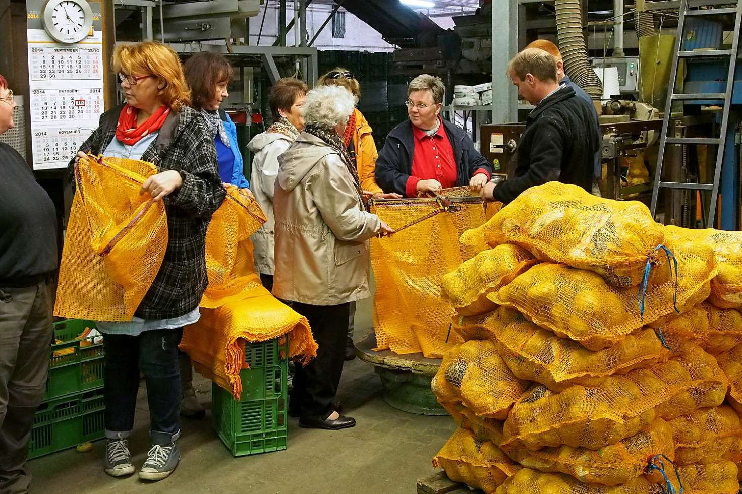 Lewitzer Kartoffeln werden in der Kartoffelhalle für den Handel verpackt.