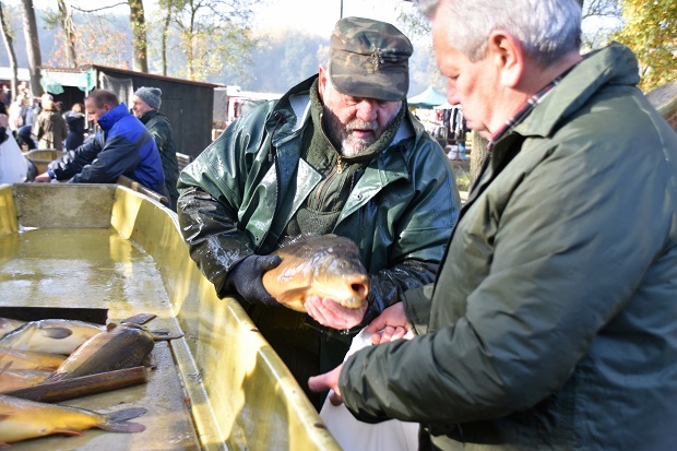 Foto: Thomas Hölker