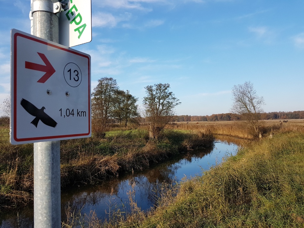 Die Lewitz bietet fünf thematische Wanderwege: Vogelwelt, alte Baumriesen, Kartoffeln und Kulturelles.