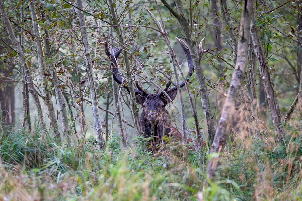 Foto: Maik Zilz