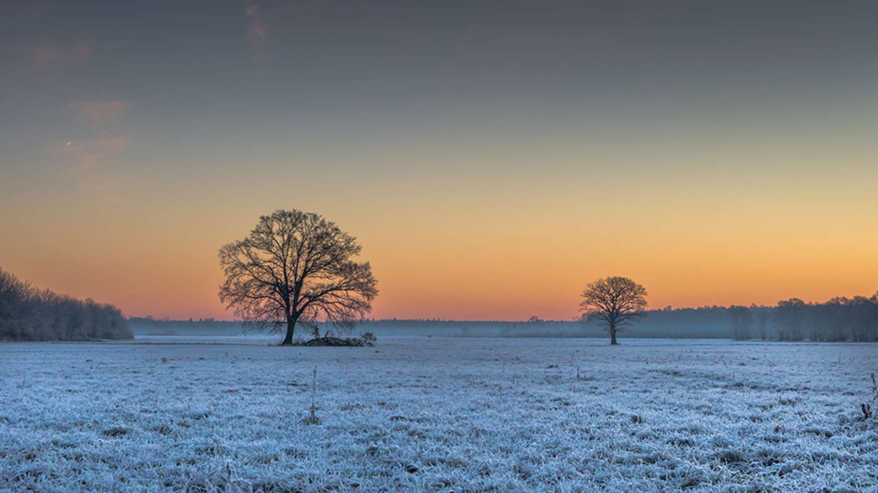 Winterstimmung in der Lewitz