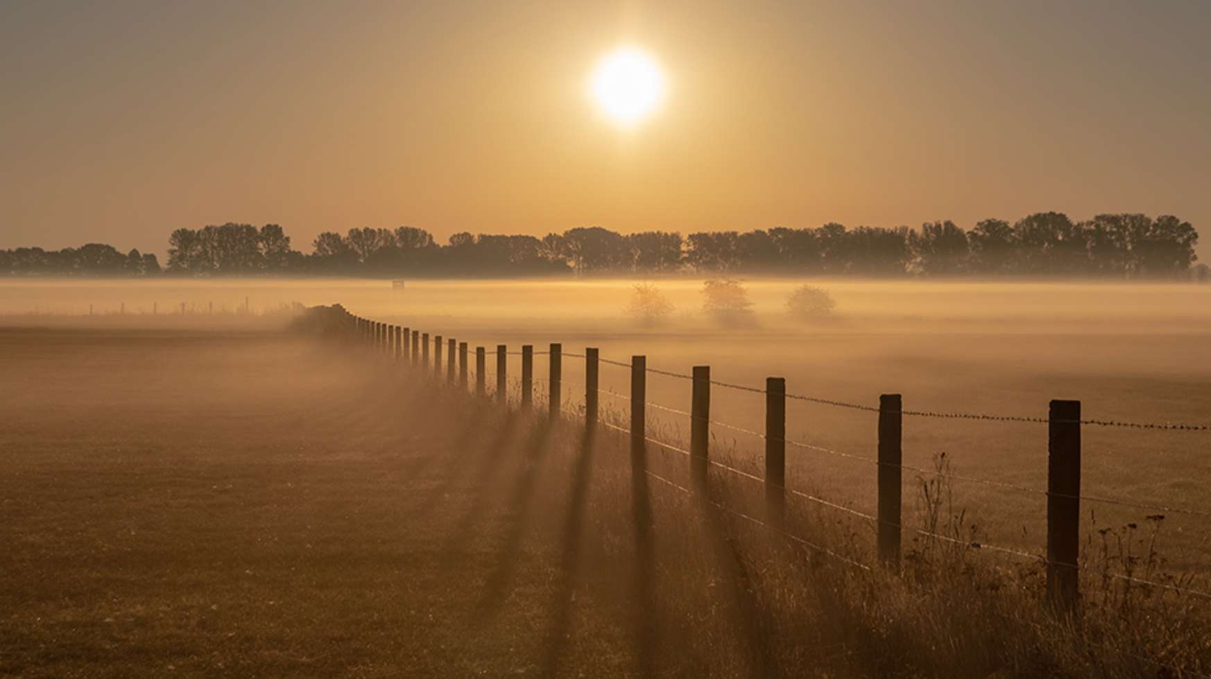 Nebel, Sonnenauf- und -untergänge setzen die Lewitz immer wieder neu in Szene.