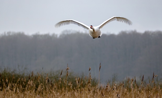 Foto: Maik Zilz