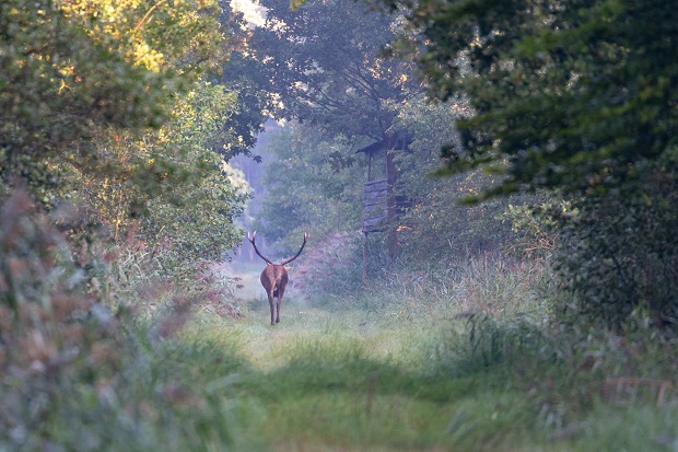 Foto: Maik Zilz