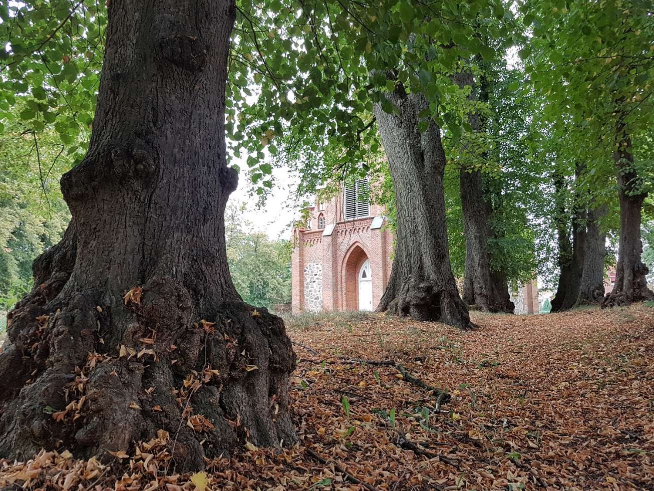 Dorfkirche Raduhn in der Lewitz mit Lindenallee