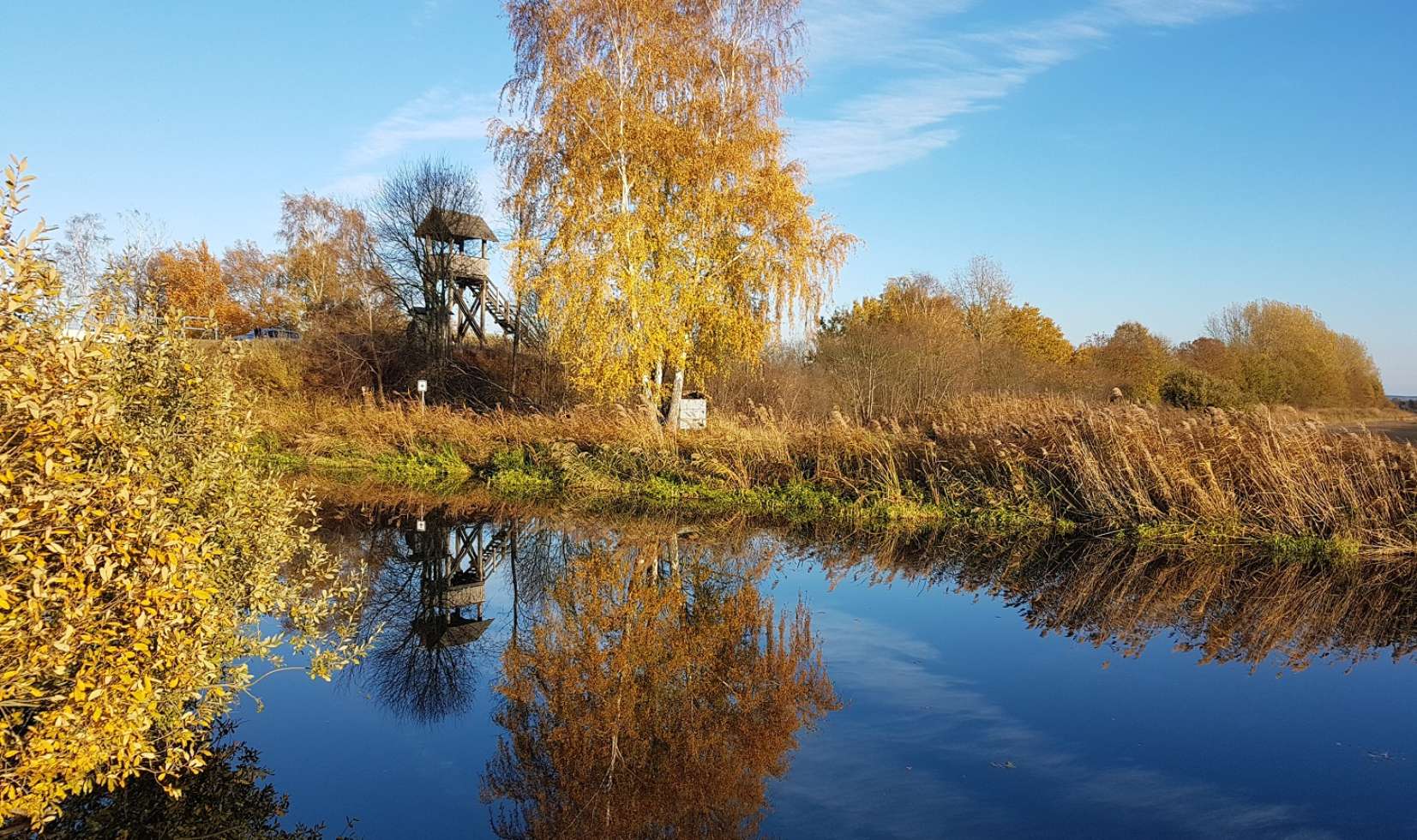 Schönes Ausflugsziel am Vogelwanderweg: Der Aussichtsturm am Naturschutzgebiet Lewitzer Fischteiche.