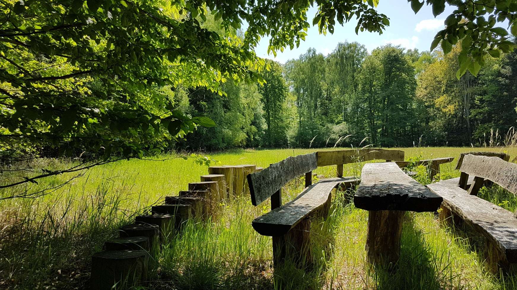 Picknickplatz in der Waldlewitz