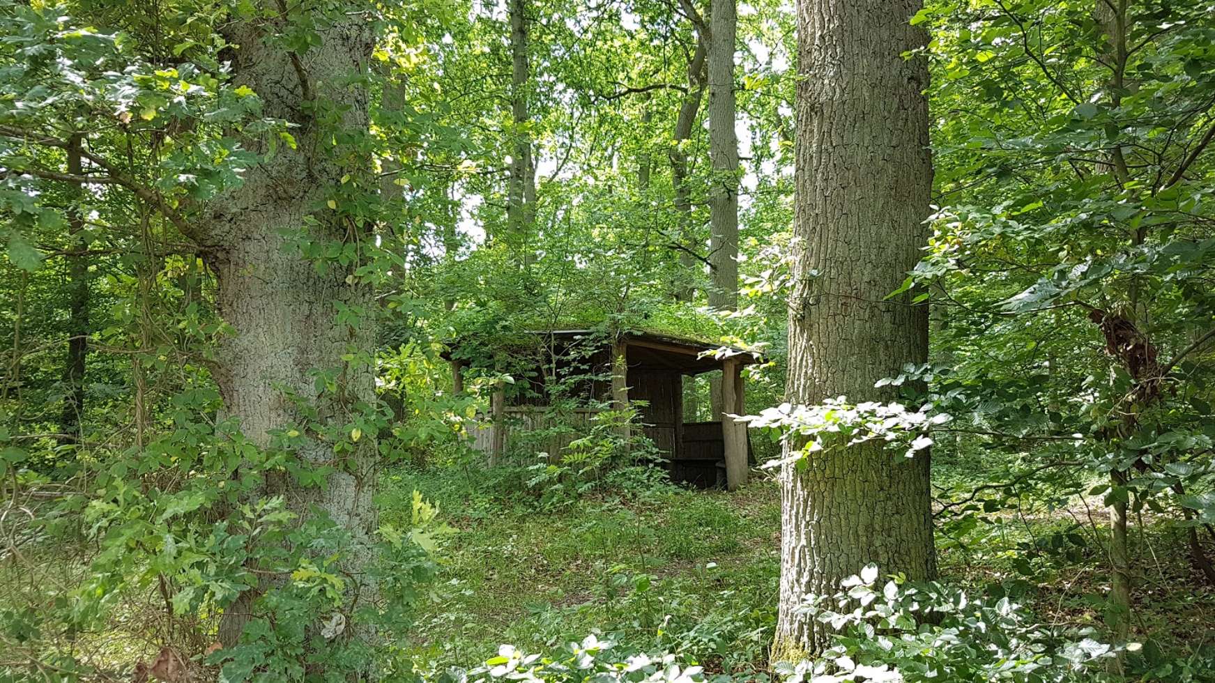 Rasthütten laden zu Picknickpausen ein.