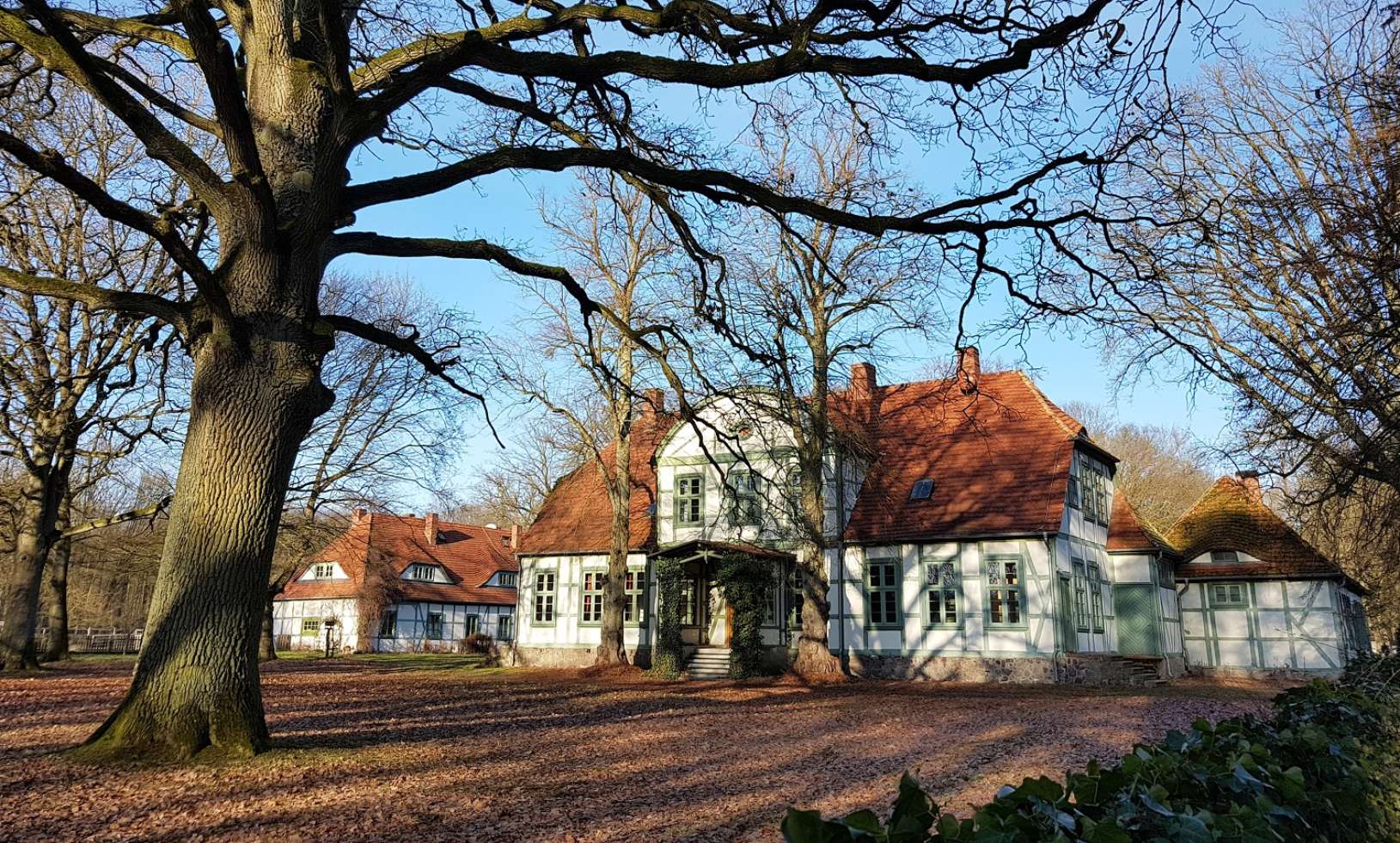 Waldwanderung - Jagdschloss Friedrichsmoor