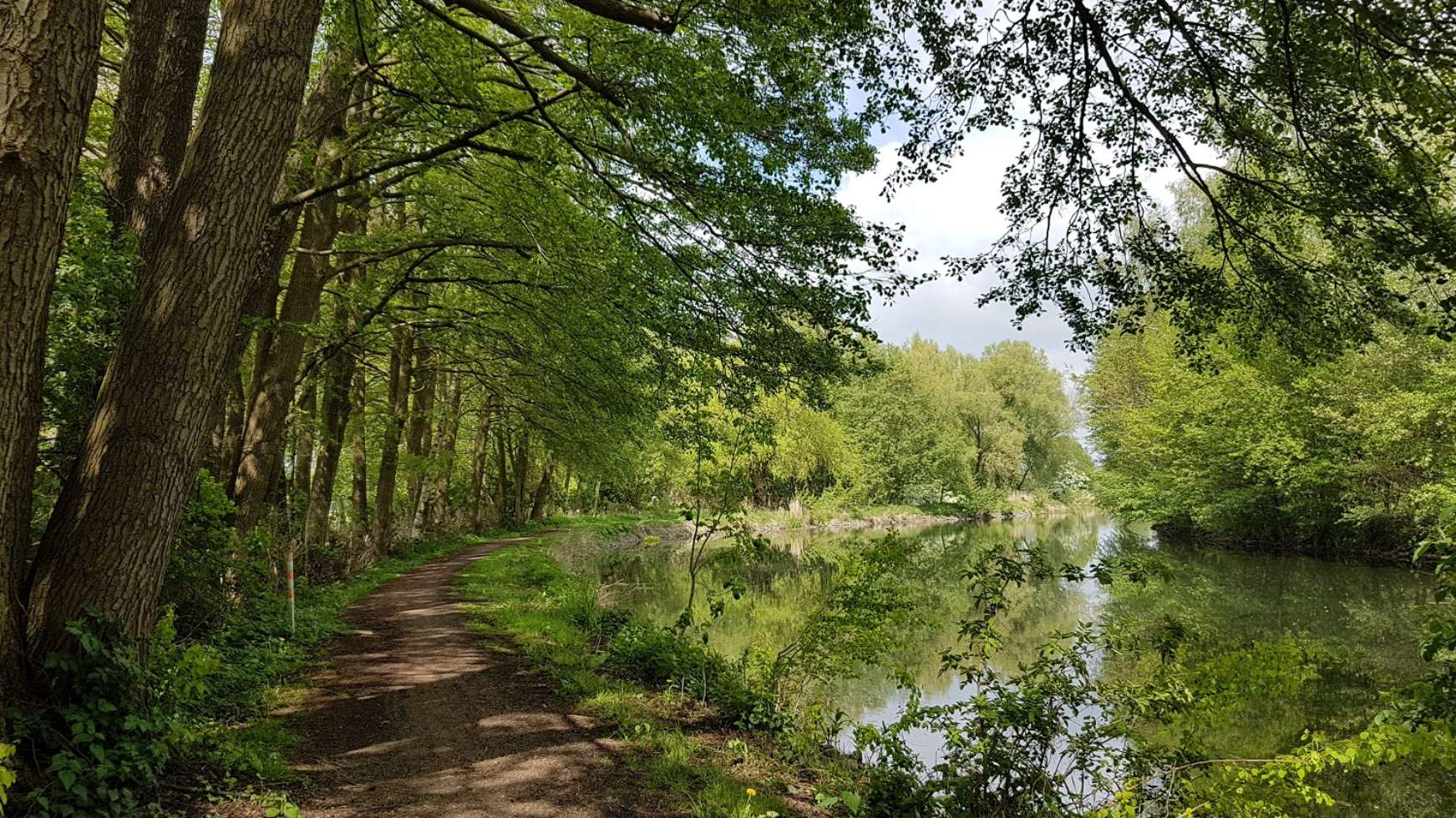 Idyllisch: Der Störkanal bei Banzkow. 