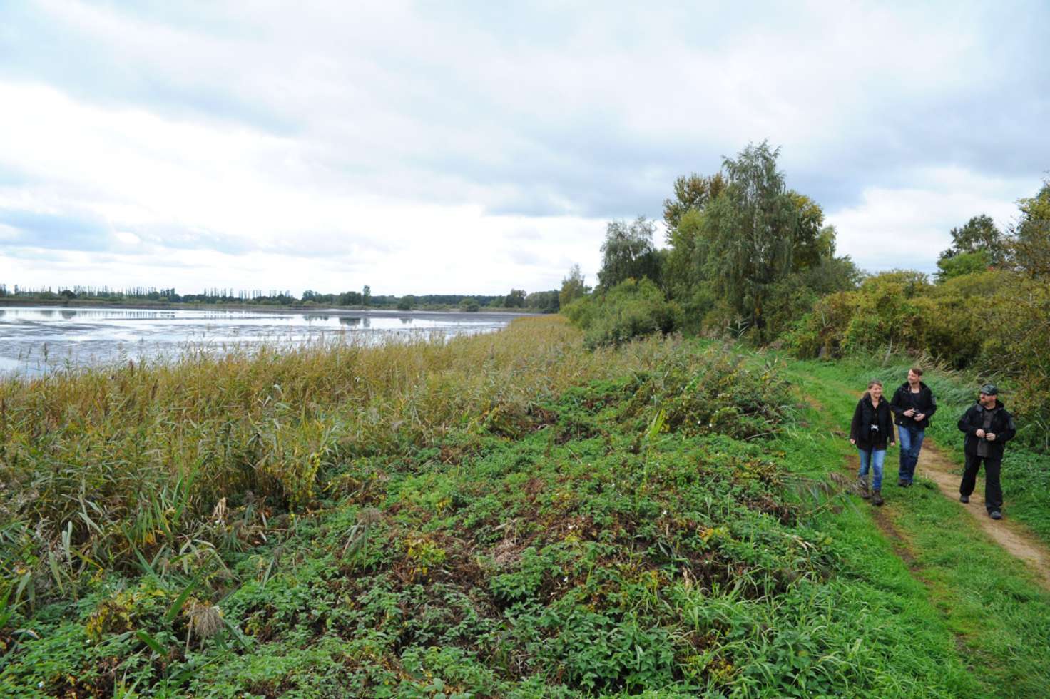 Das Naturschutzgebiet Lewitzer Fischteiche lässt sich gut mit dem Lewitz-Ranger Ralf Ottmann erkunden. Besonders sehenswert: Der Vogelzug im Frühjahr und Herbst.