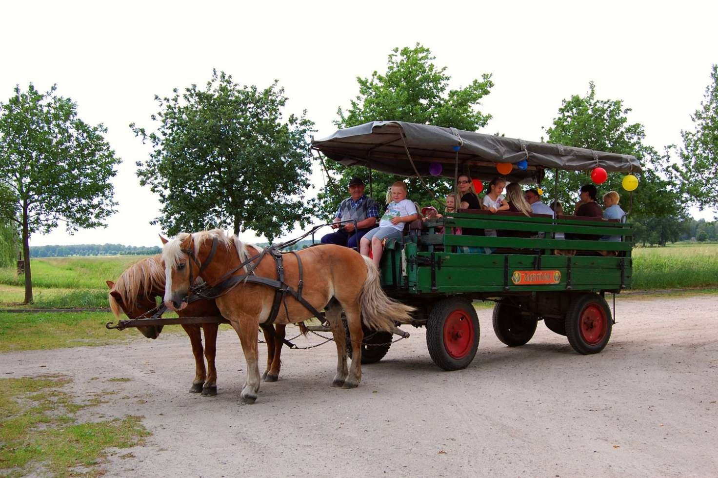 Schöne Kombi für Gruppen: Bootstour mit dem Lewitz-Kieker und Fahrt mit dem Kremser.