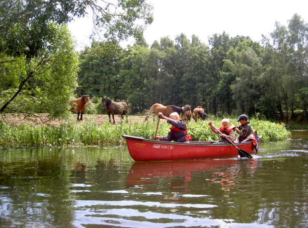 Kanutouren auf der Alten Elde oder der Müritz-Elde-Stör-Wasserstraße